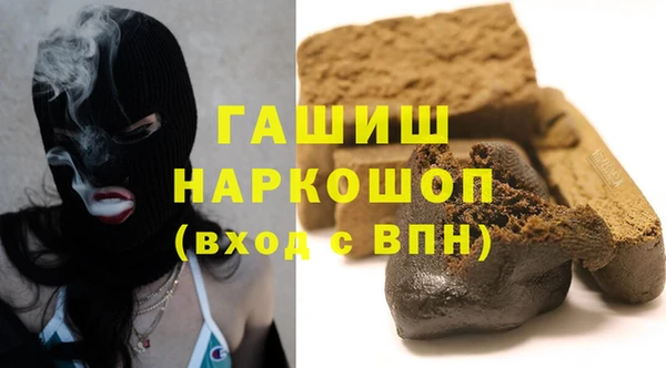 прущие грибы Горняк