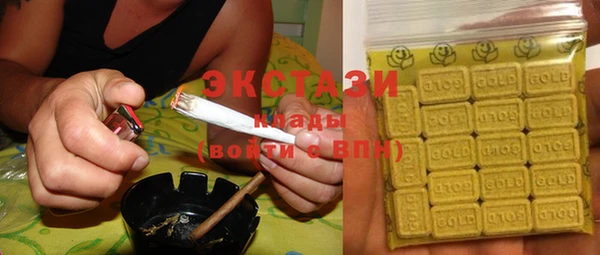 ECSTASY Бородино