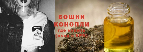ECSTASY Бородино