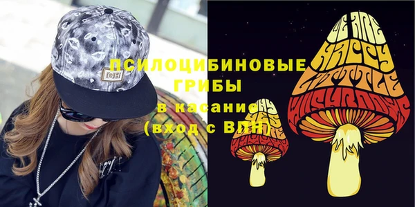 молекула духа Бугульма